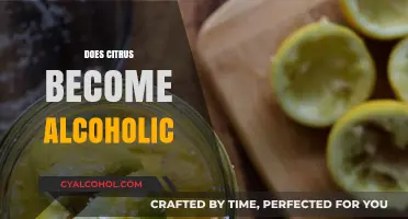 Can Citrus Fruits Ferment into Alcohol? Exploring the Science Behind It