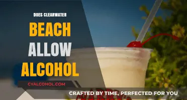 Sipping by the Shore: Alcohol Policies at Clearwater Beach