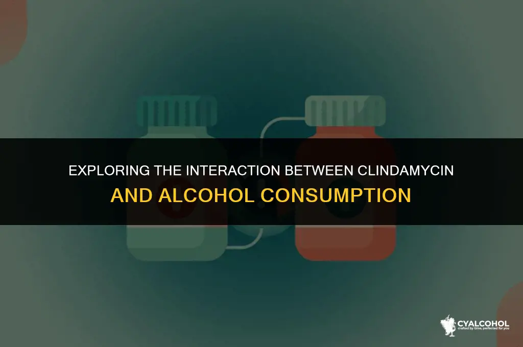 does clindamycin interact with alcohol
