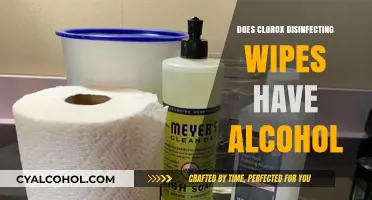 Do Clorox Disinfecting Wipes Contain Alcohol? Find Out Here