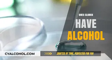 Does Clorox Contain Alcohol? Uncovering the Ingredients in Your Disinfectant