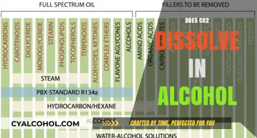 Exploring the Solubility of CO2 in Alcohol: A Comprehensive Guide