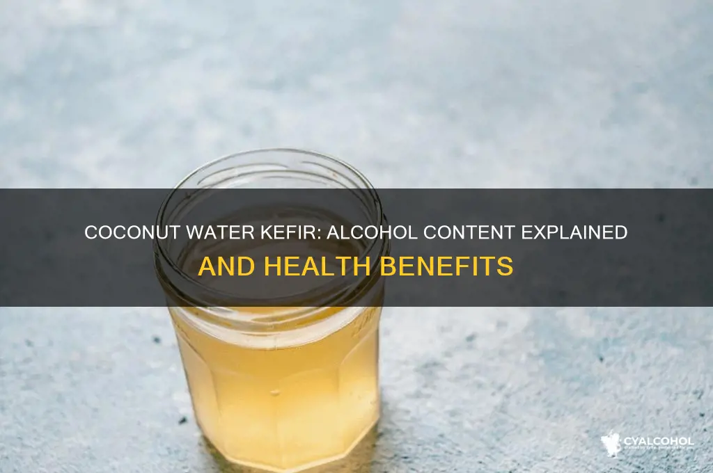 does coconut water kefir have alcohol