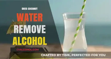 Sobering Truths: Can Coconut Water Really Remove Alcohol?