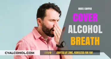 Does Coffee Mask Alcohol Breath? A Scientific Look