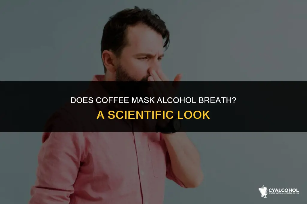 does coffee cover alcohol breath