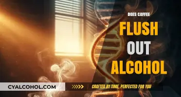 Sobering Up: The Truth About Coffee and Alcohol Metabolism