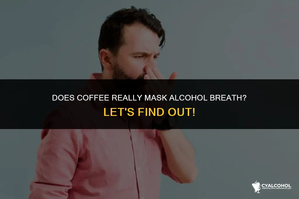 does coffee mask alcohol breath