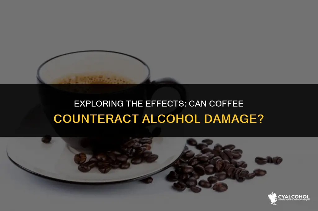 does coffee undo alcohol damage