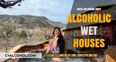 Exploring Colorado's Alcoholic Wet Houses: Fact or Fiction?