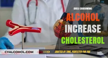 Unveiling the Truth: Alcohol's Impact on Cholesterol Levels