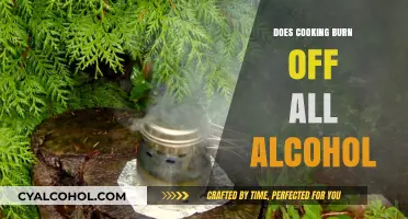 Does Cooking Burn Off All Alcohol? The Truth Behind the Myth