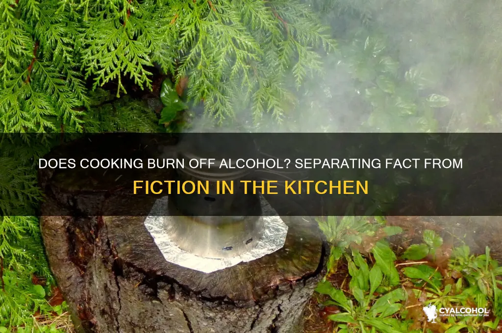 does cooking really burn off alcohol