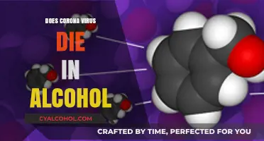 Alcohol's Effectiveness in Killing Coronavirus: Fact or Fiction?