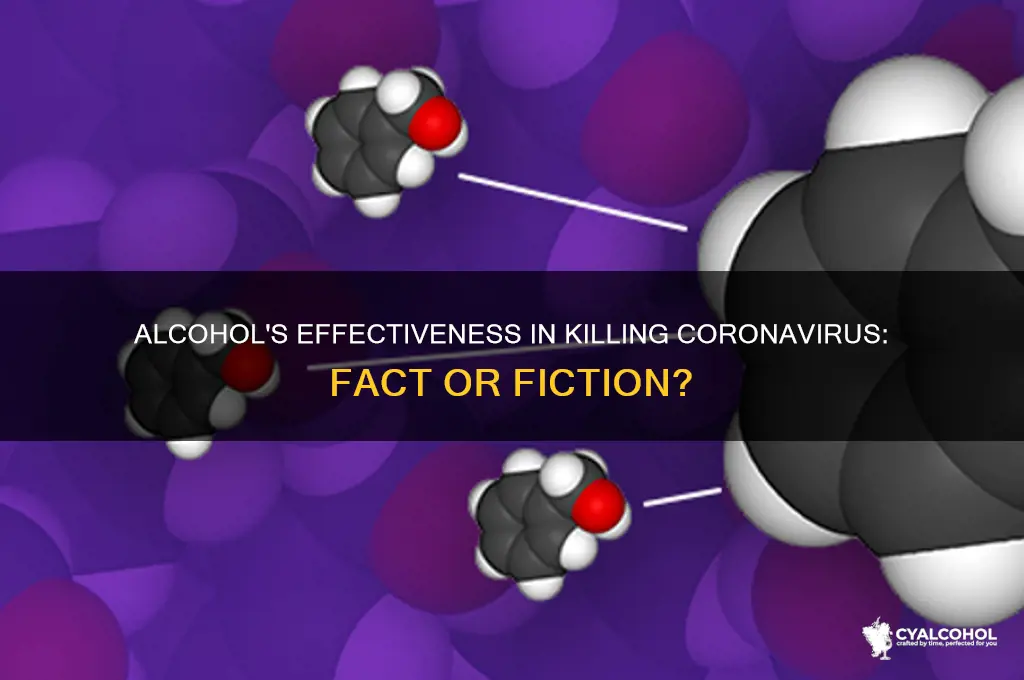 does corona virus die in alcohol
