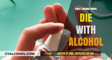 Does Alcohol Kill Coronavirus? Uncovering the Truth Behind Sanitizers
