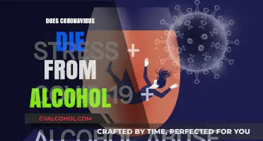 Alcohol's Effectiveness Against Coronavirus: Separating Fact from Fiction