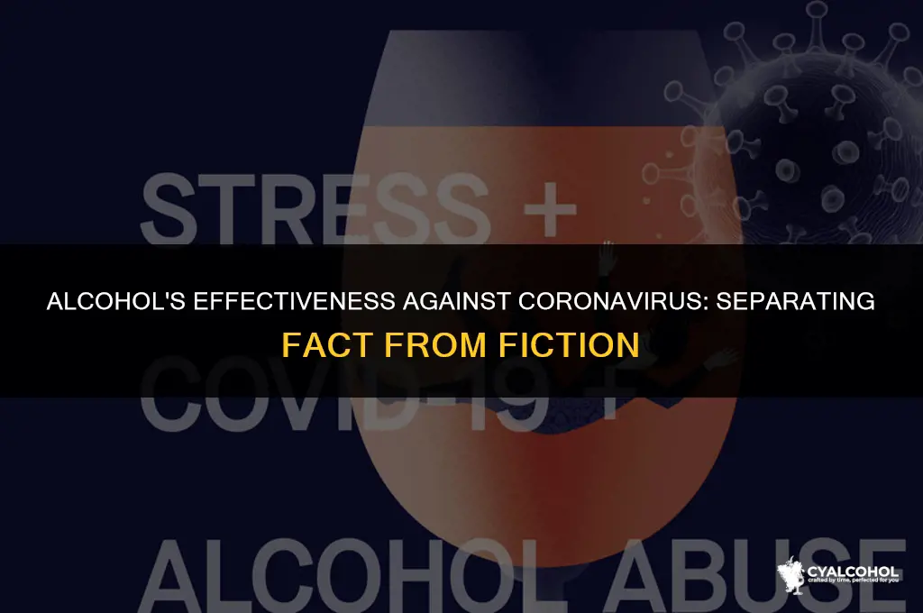 does coronavirus die from alcohol