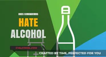 Coronavirus vs. Alcohol: How Drinking Impacts COVID-19 Risks