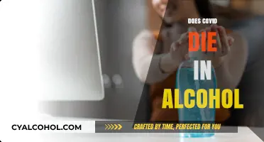 Alcohol's Effectiveness Against COVID-19: Separating Fact from Fiction