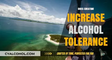 Exploring the Effects of Creatine on Alcohol Tolerance: A Comprehensive Guide