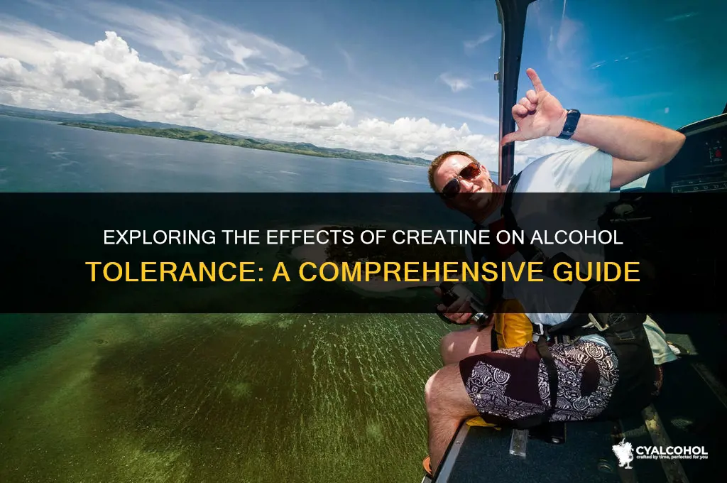 does creatine increase alcohol tolerance