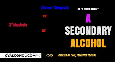 Does CrO3 Oxidize Secondary Alcohols? A Comprehensive Chemical Analysis
