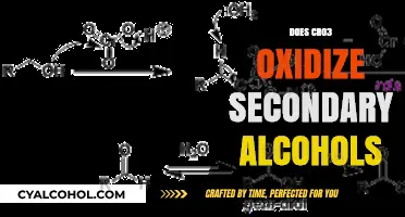 Exploring the Oxidation of Secondary Alcohols by CrO3: A Comprehensive Guide