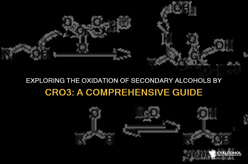 does cro3 oxidize secondary alcohols