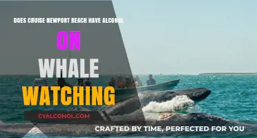 Alcohol and Whale Watching: What's the Cruise Policy?