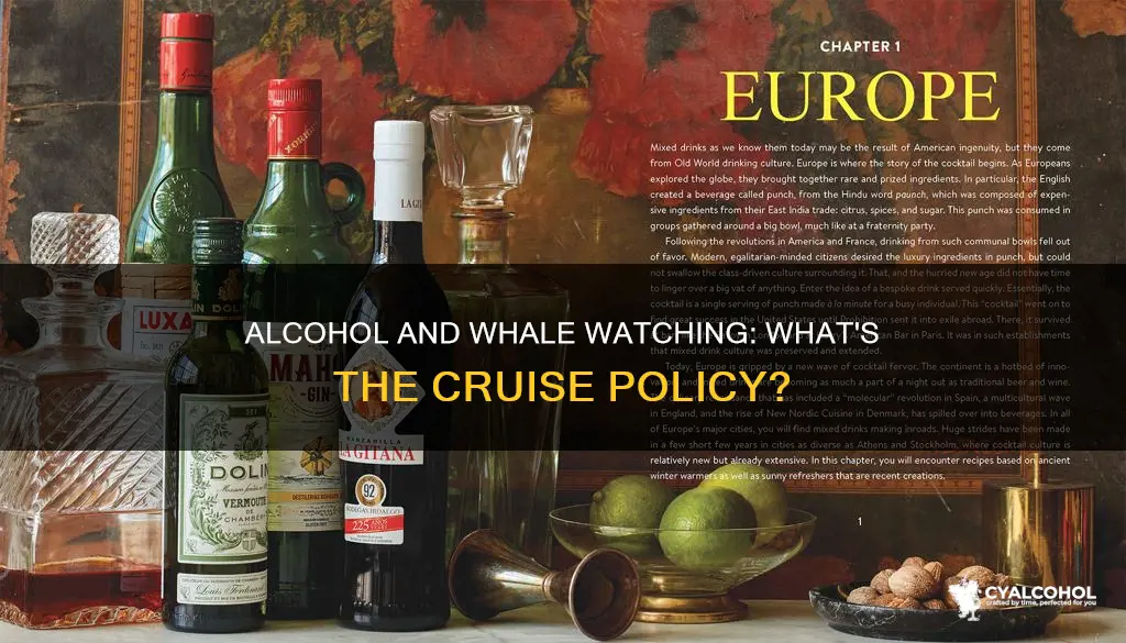 does cruise newport beach have alcohol on whale watching