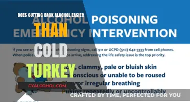 Gradual Reduction vs. Cold Turkey: Which Alcohol Approach Works Best?