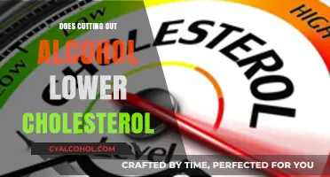 Cutting Out Alcohol: Can It Effectively Lower Your Cholesterol Levels?