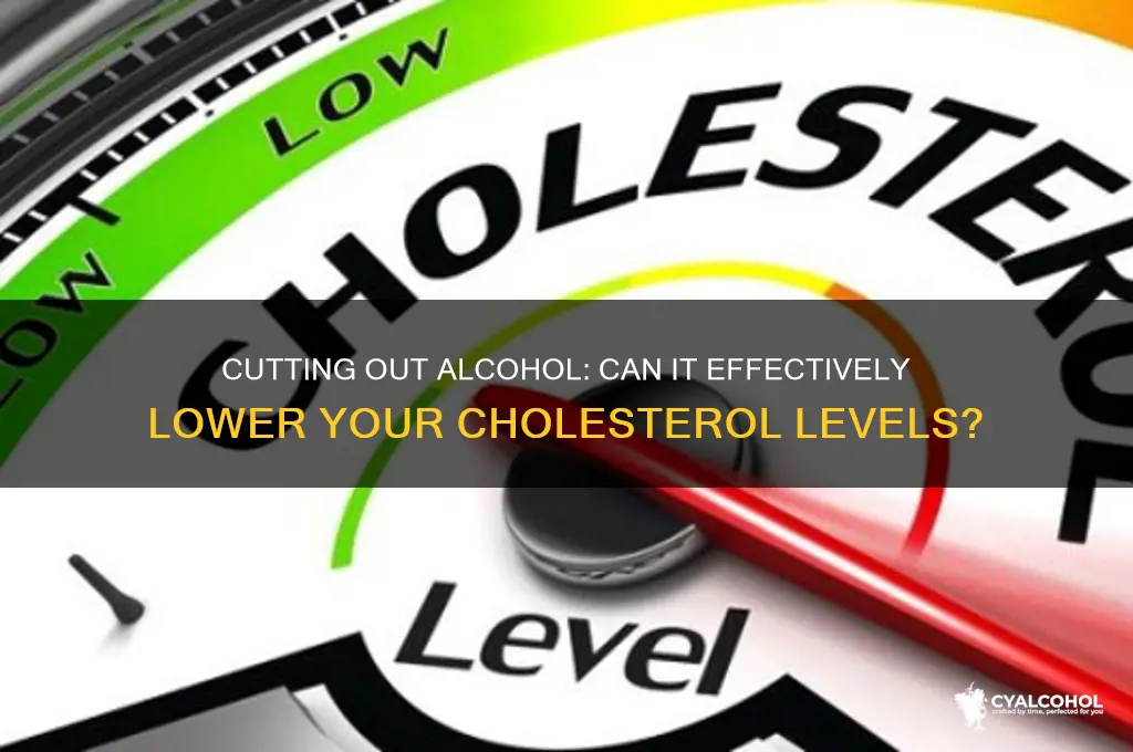 does cutting out alcohol lower cholesterol
