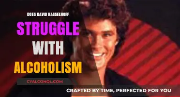 David Hasselhoff's Battle: Overcoming Alcoholism and Finding Sobriety