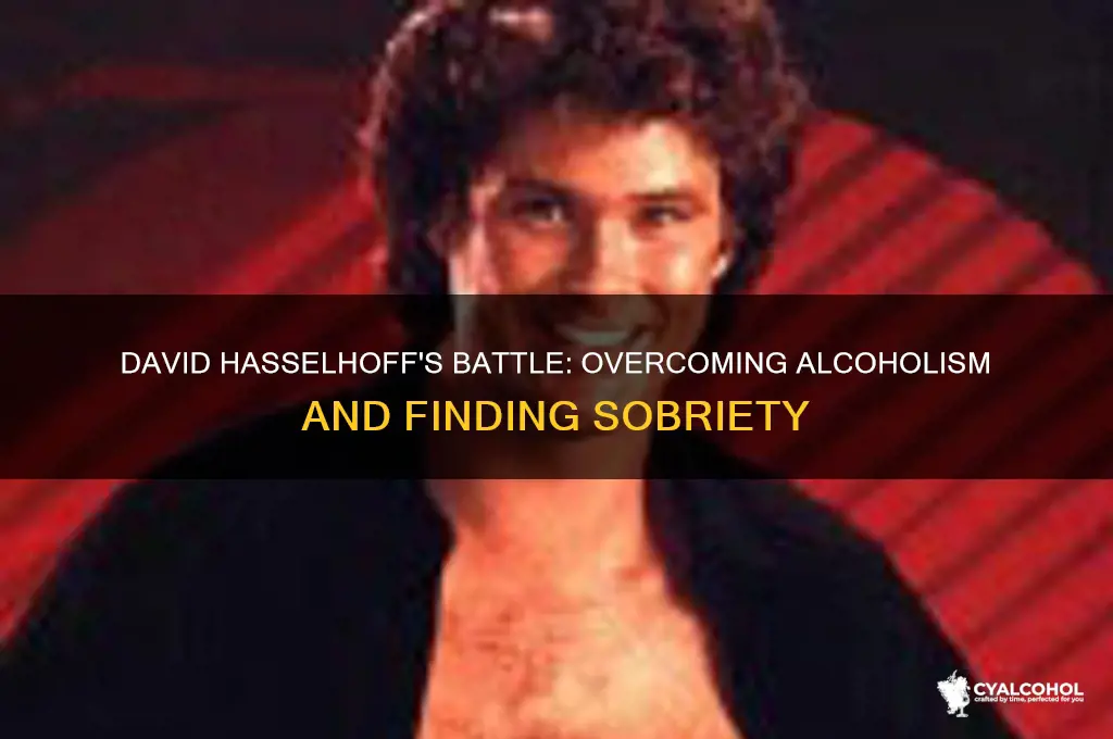 does david hasselhoff struggle with alcoholism