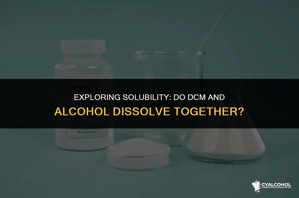 does dcm and alcohol dissolve