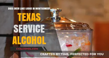 Deer Lake Lodge: Alcohol-Free Wellness Retreat in Texas