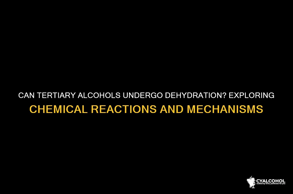 does dehydration occur at tertieary alcohols