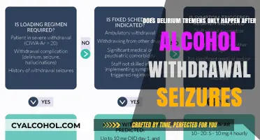 Delirium Tremens: Alcohol Withdrawal Seizures and Beyond