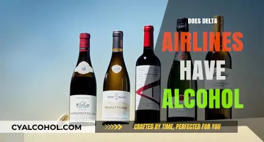 Sipping Above the Clouds: Alcohol Options on Delta Airlines