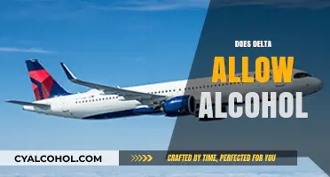 Can You Bring Alcohol on Delta Flights? Policies and Guidelines Explained