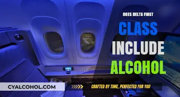 Delta First Class Perks: Complimentary Alcohol Included or Extra?