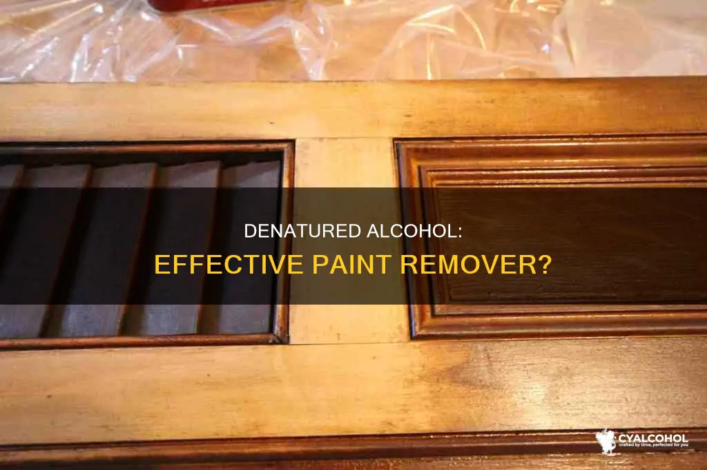 does denatured alcohol remove latex or oil based paint