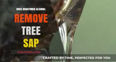 Effective Tree Sap Removal: Does Denatured Alcohol Work Best?