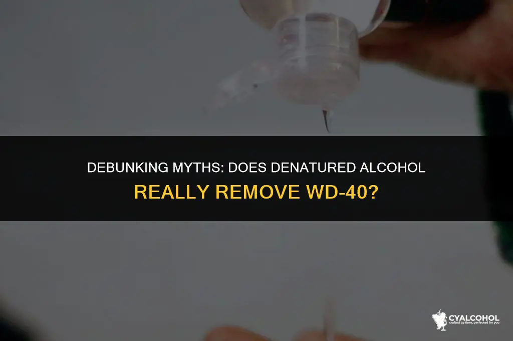 does denatured alcohol remove wd40