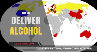 Can DHL Deliver Alcohol? Shipping Policies and Restrictions Explained