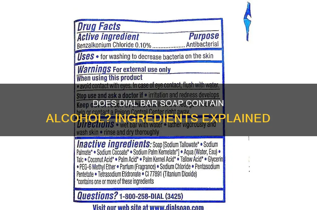 does dial bar soa have alcohol in it
