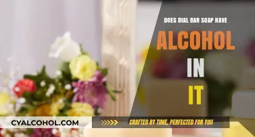 Does Dial Bar Soap Contain Alcohol? Ingredients Explained