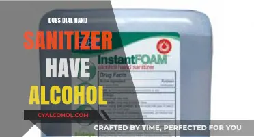 Does Dial Hand Sanitizer Contain Alcohol? A Detailed Ingredient Analysis
